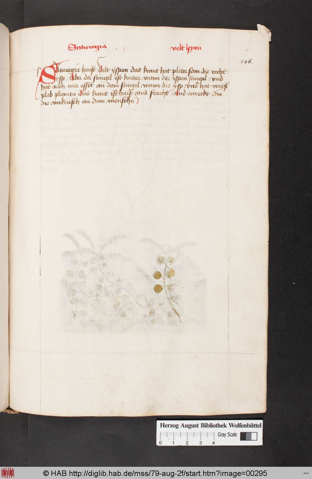 http://diglib.hab.de/mss/79-aug-2f/00295.jpg