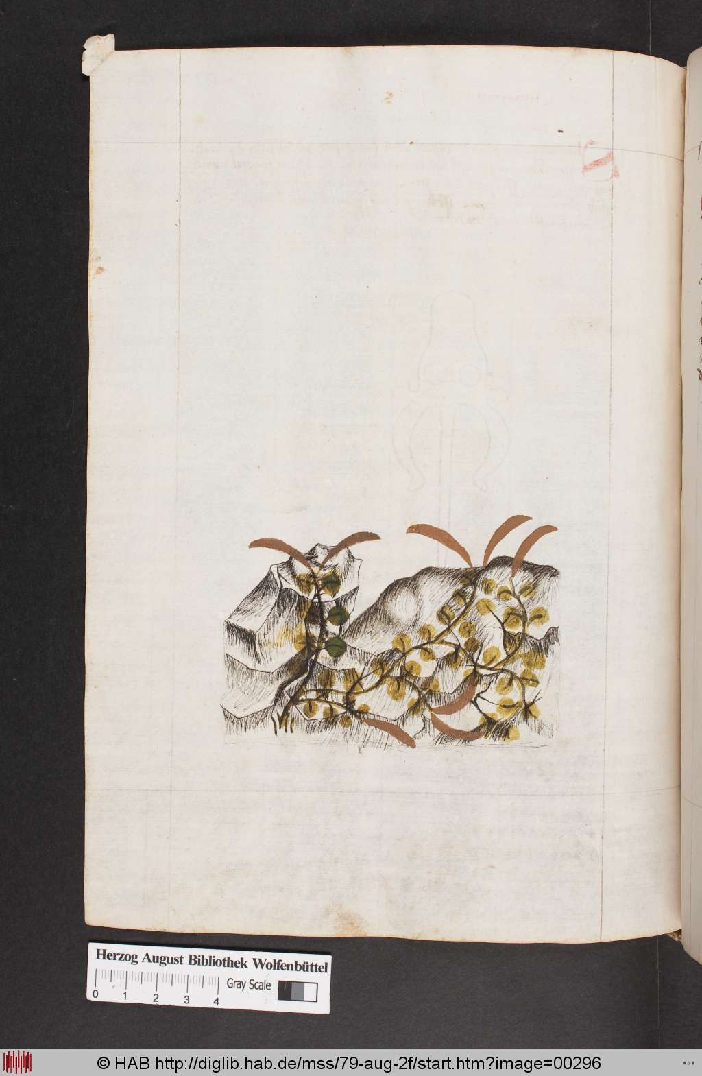 http://diglib.hab.de/mss/79-aug-2f/00296.jpg