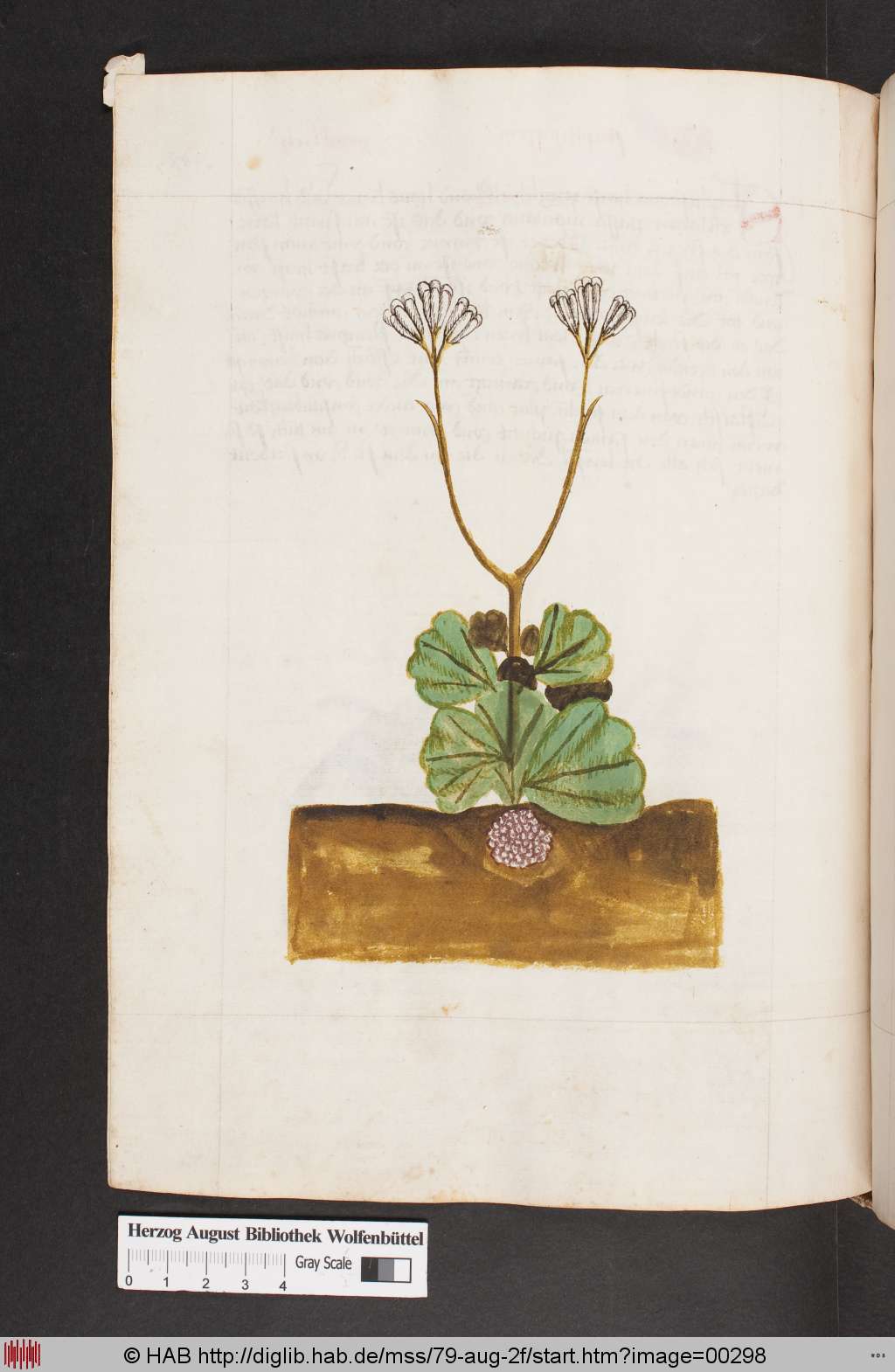 http://diglib.hab.de/mss/79-aug-2f/00298.jpg
