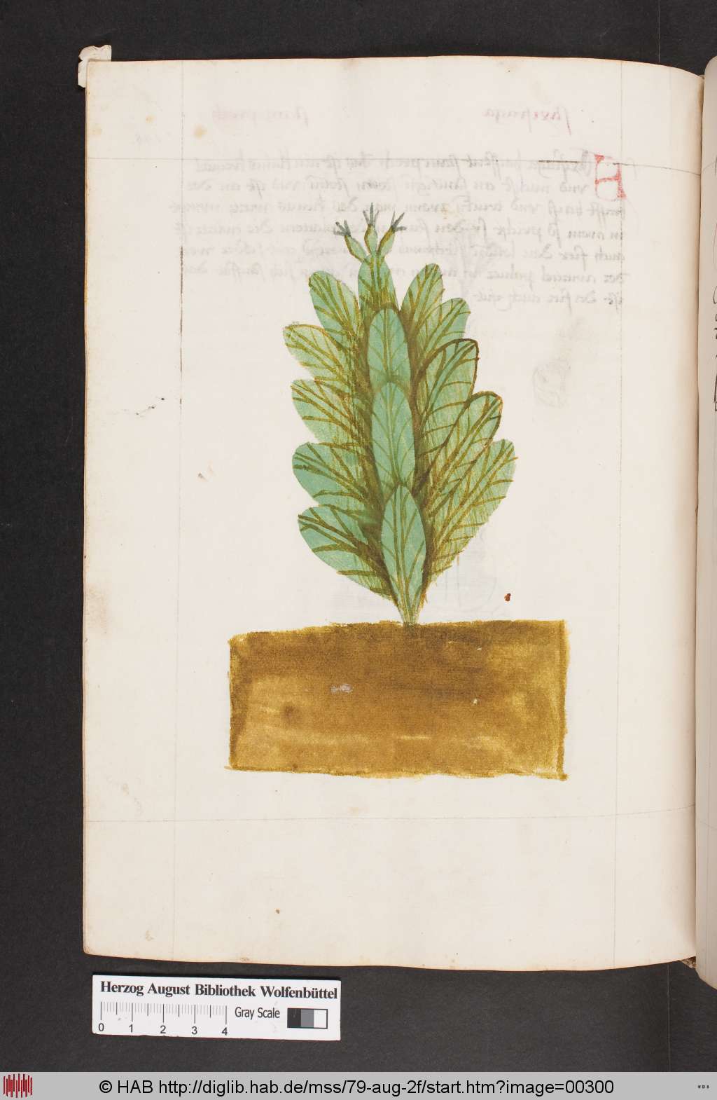http://diglib.hab.de/mss/79-aug-2f/00300.jpg