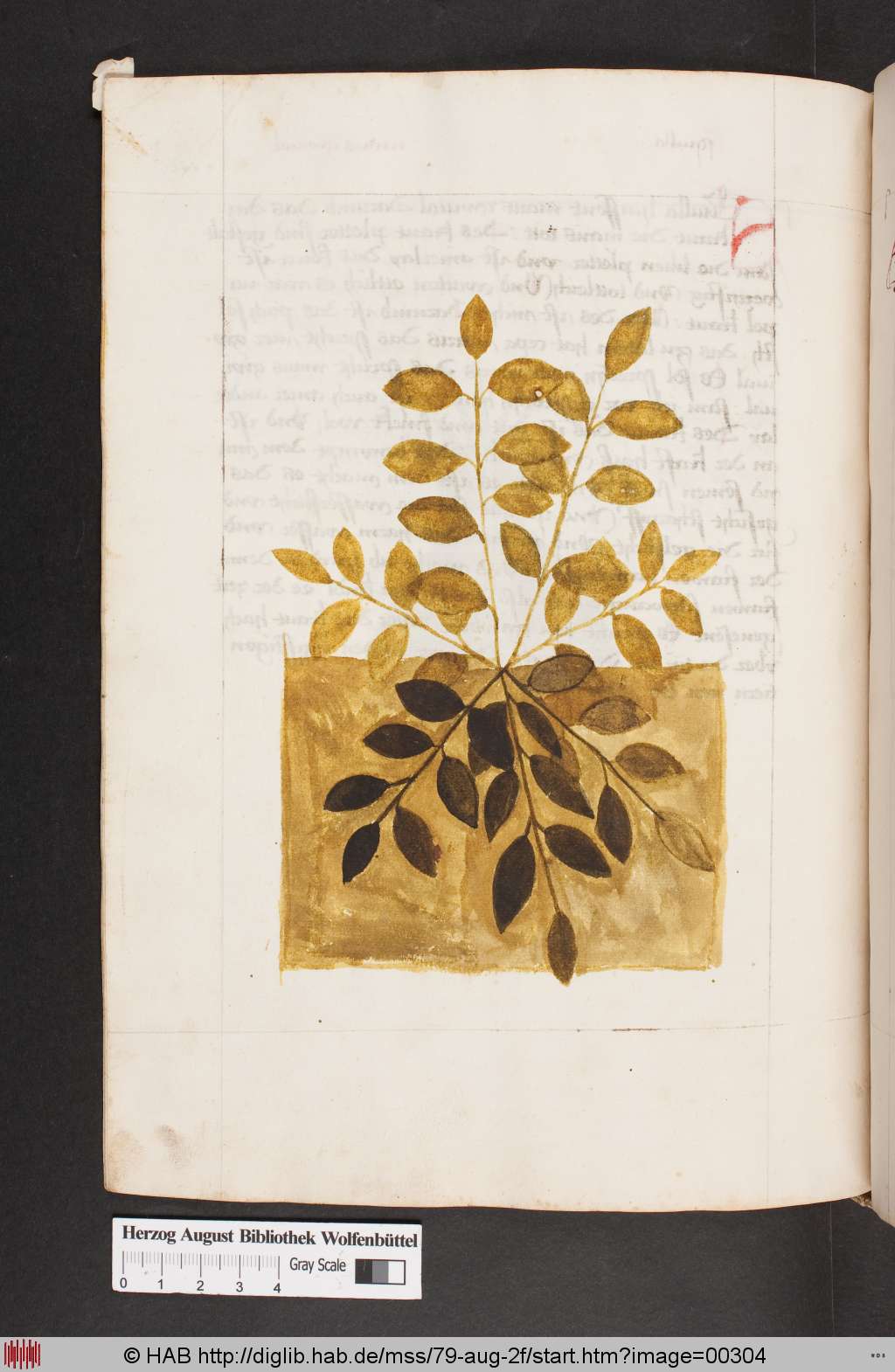 http://diglib.hab.de/mss/79-aug-2f/00304.jpg