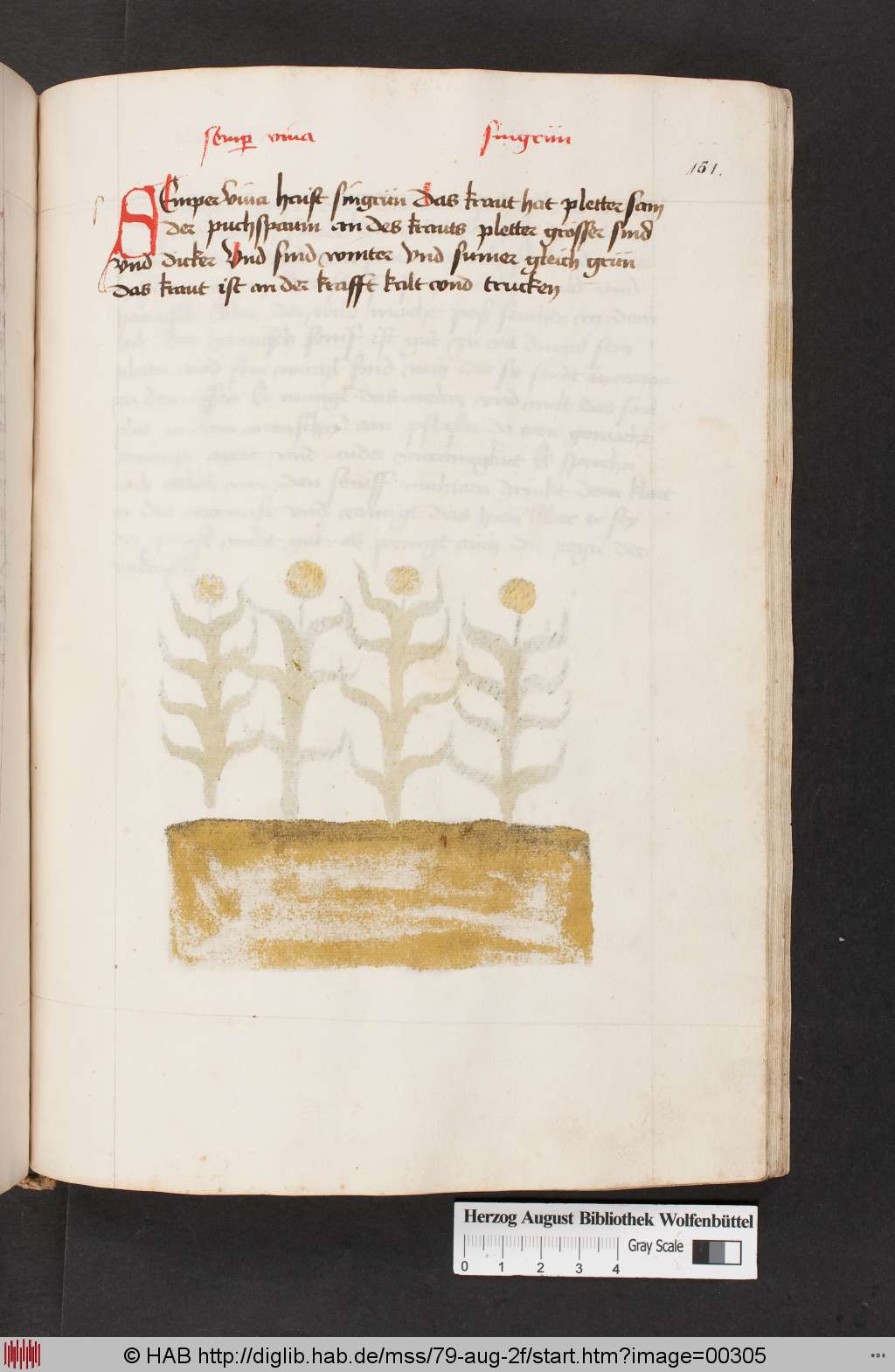 http://diglib.hab.de/mss/79-aug-2f/00305.jpg