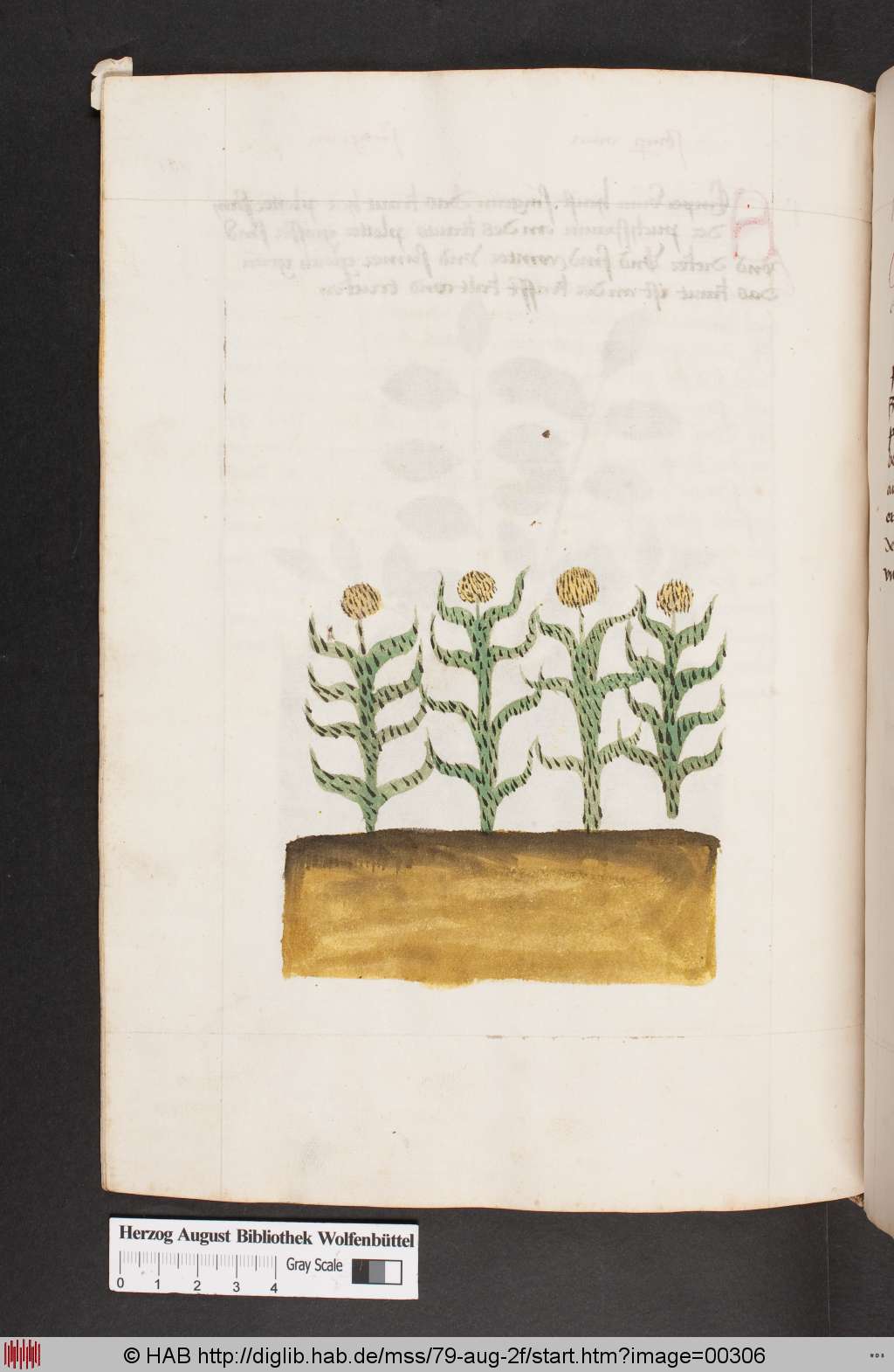 http://diglib.hab.de/mss/79-aug-2f/00306.jpg