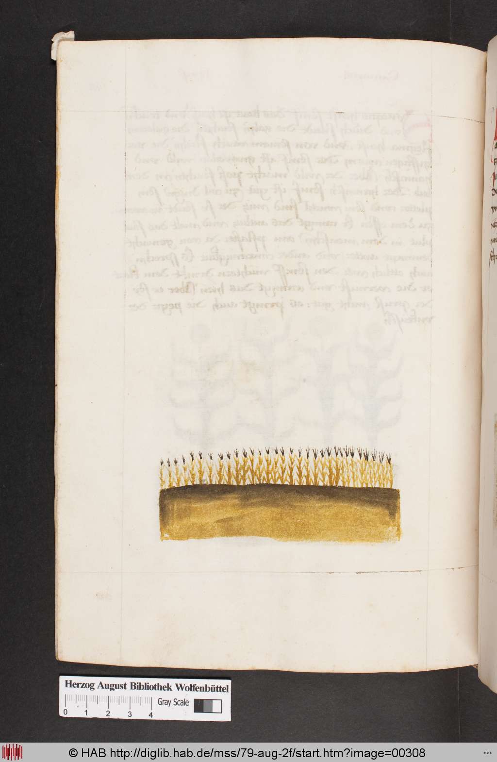 http://diglib.hab.de/mss/79-aug-2f/00308.jpg