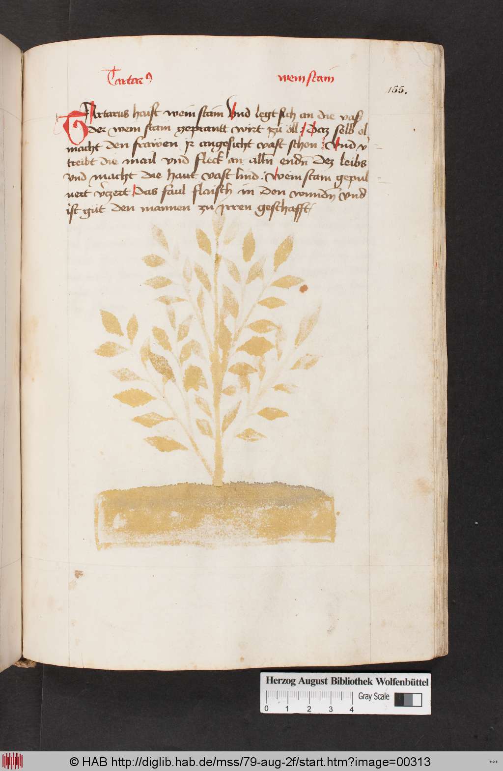 http://diglib.hab.de/mss/79-aug-2f/00313.jpg
