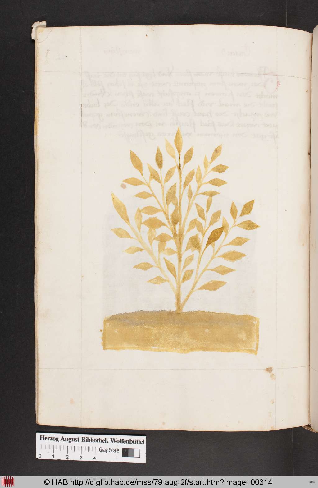 http://diglib.hab.de/mss/79-aug-2f/00314.jpg