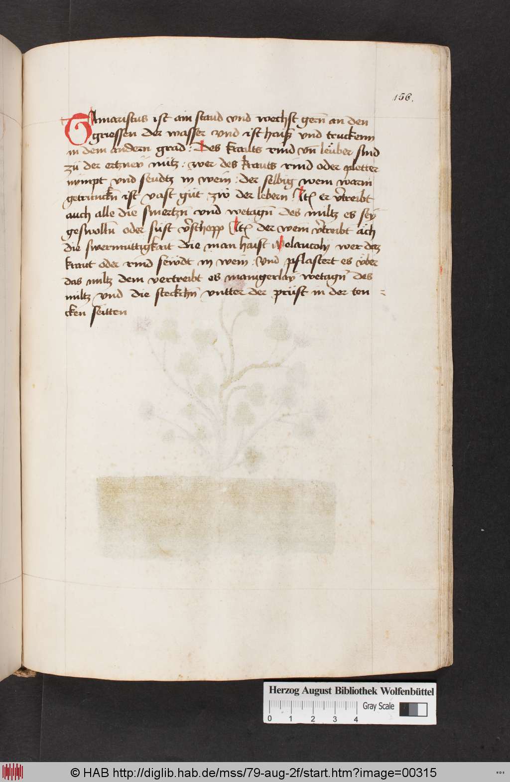 http://diglib.hab.de/mss/79-aug-2f/00315.jpg