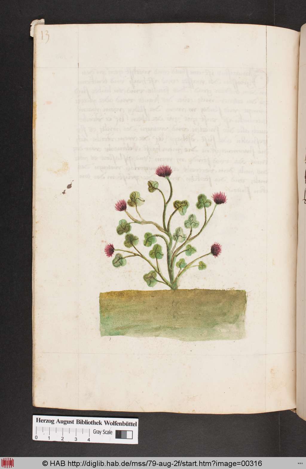 http://diglib.hab.de/mss/79-aug-2f/00316.jpg