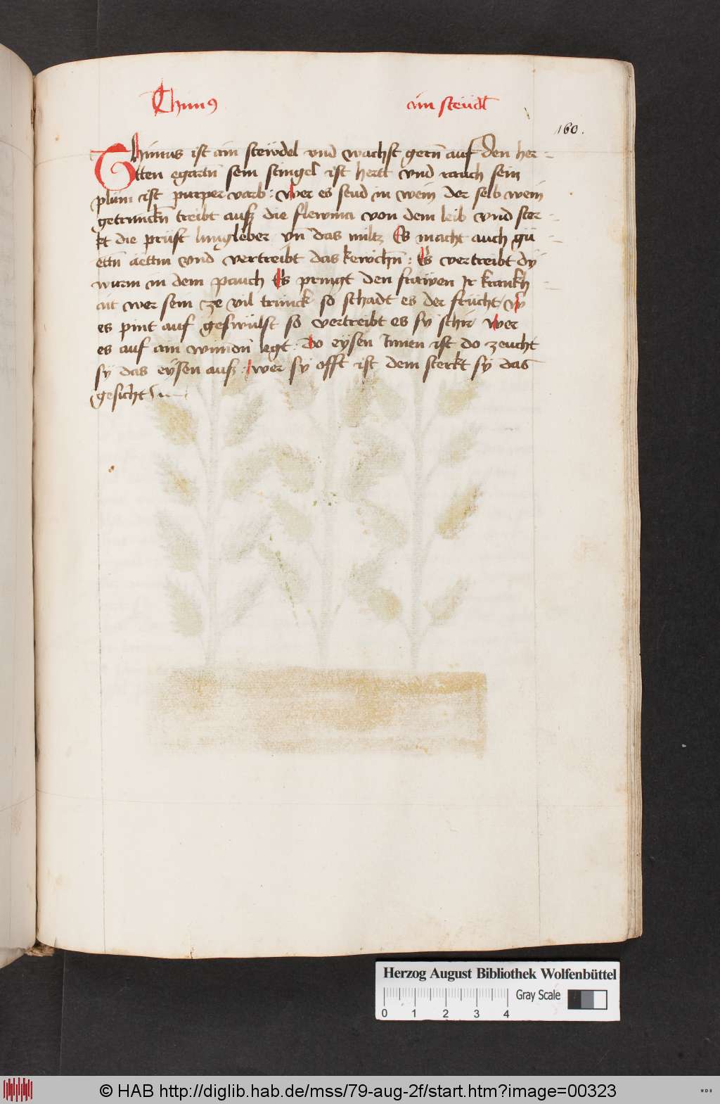 http://diglib.hab.de/mss/79-aug-2f/00323.jpg