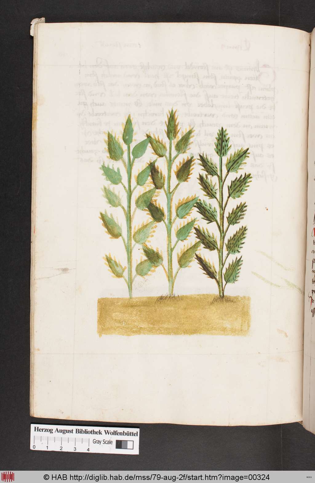 http://diglib.hab.de/mss/79-aug-2f/00324.jpg