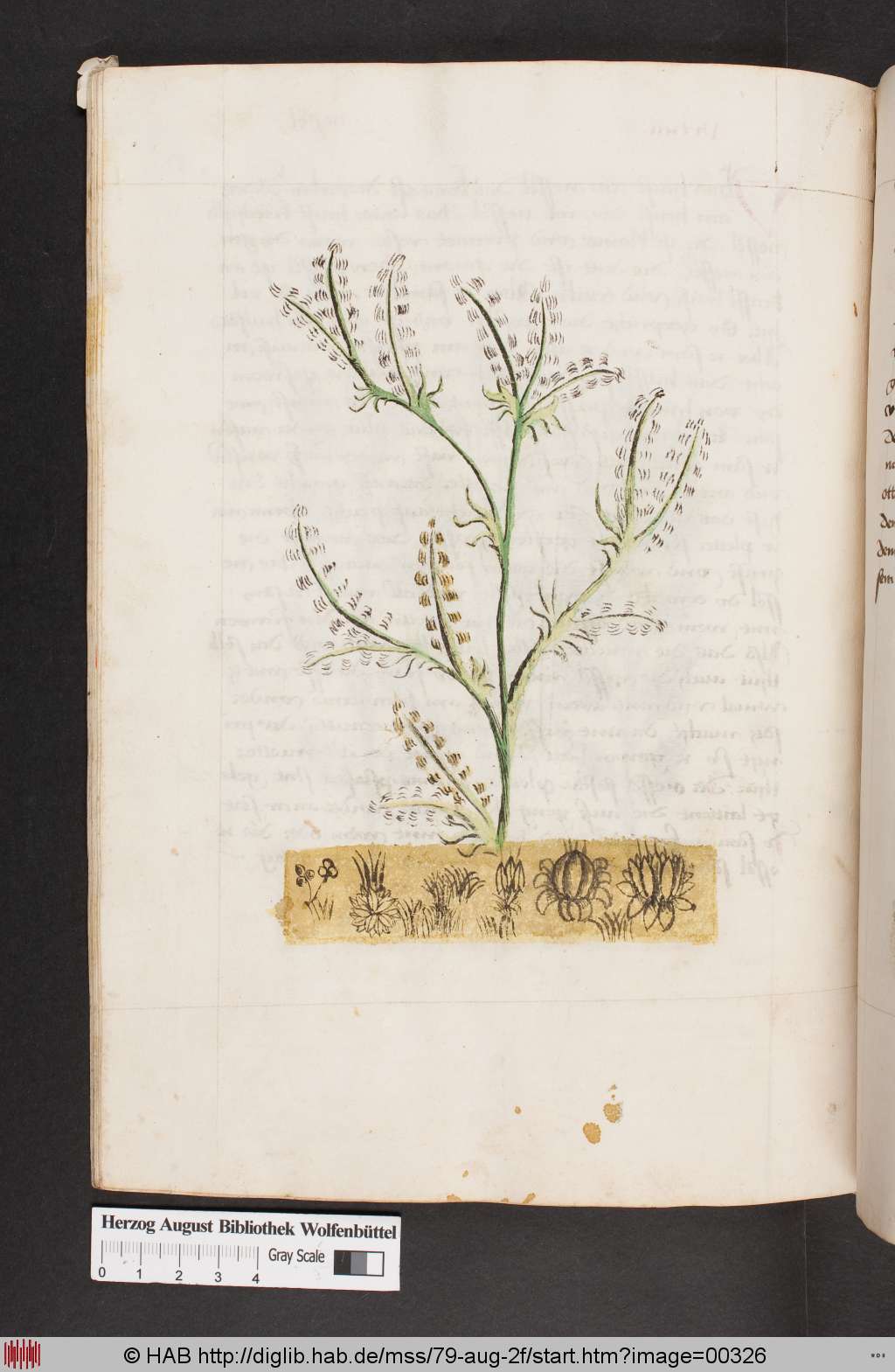 http://diglib.hab.de/mss/79-aug-2f/00326.jpg