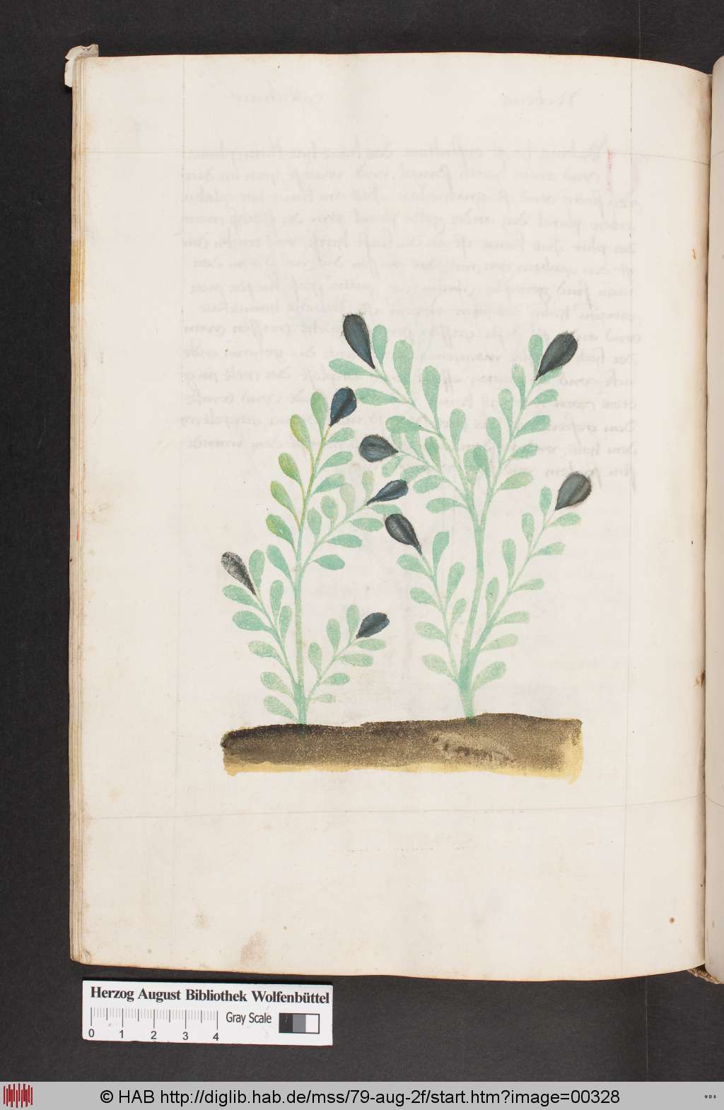 http://diglib.hab.de/mss/79-aug-2f/00328.jpg