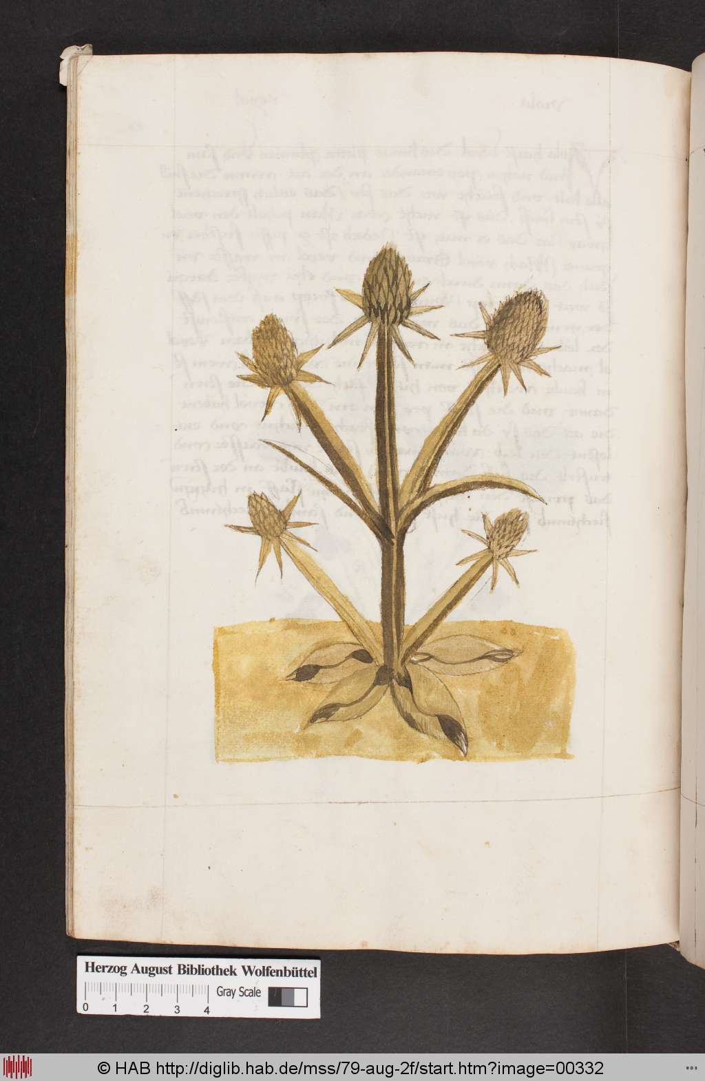 http://diglib.hab.de/mss/79-aug-2f/00332.jpg