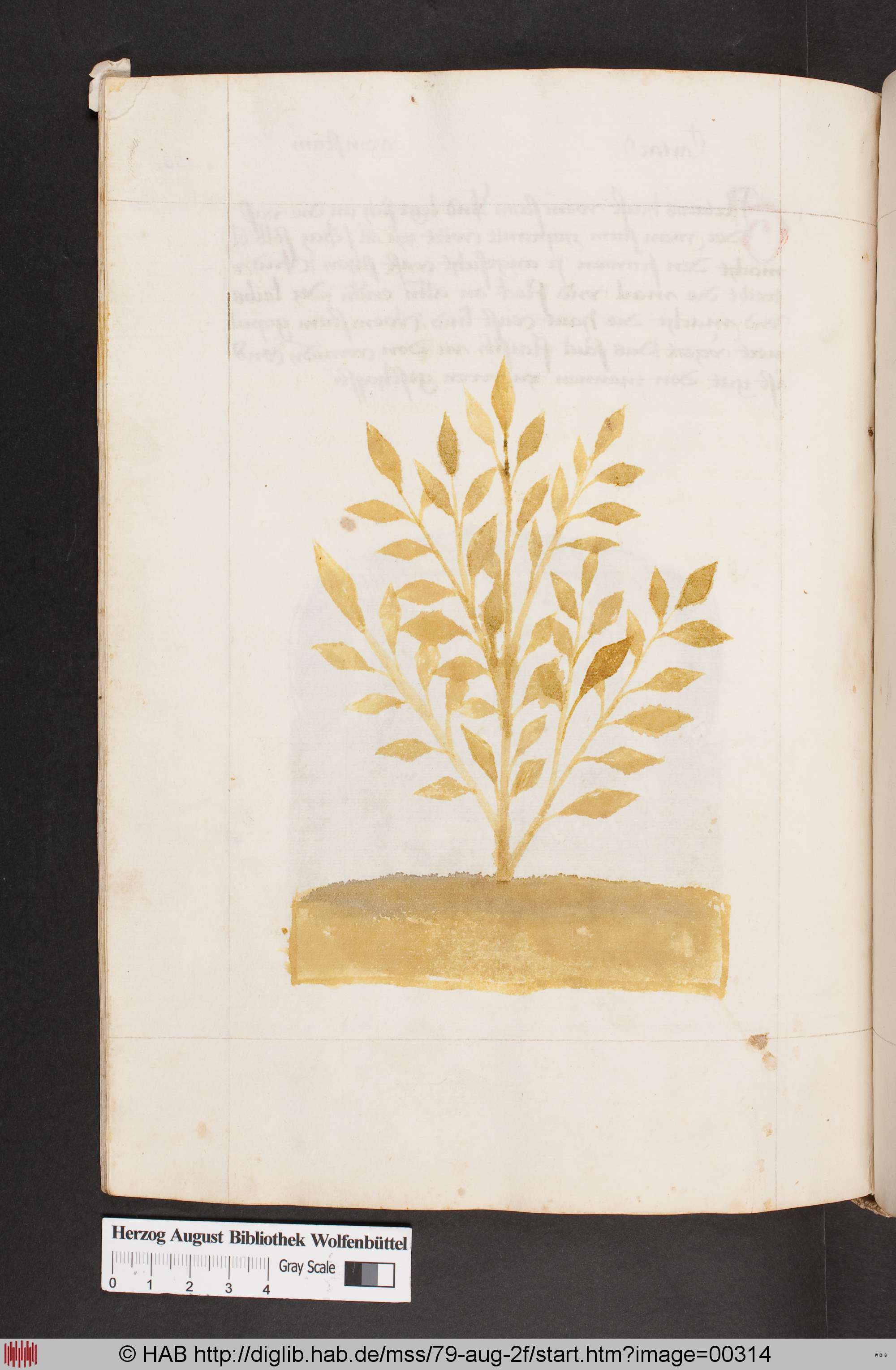 http://diglib.hab.de/mss/79-aug-2f/max/00314.jpg
