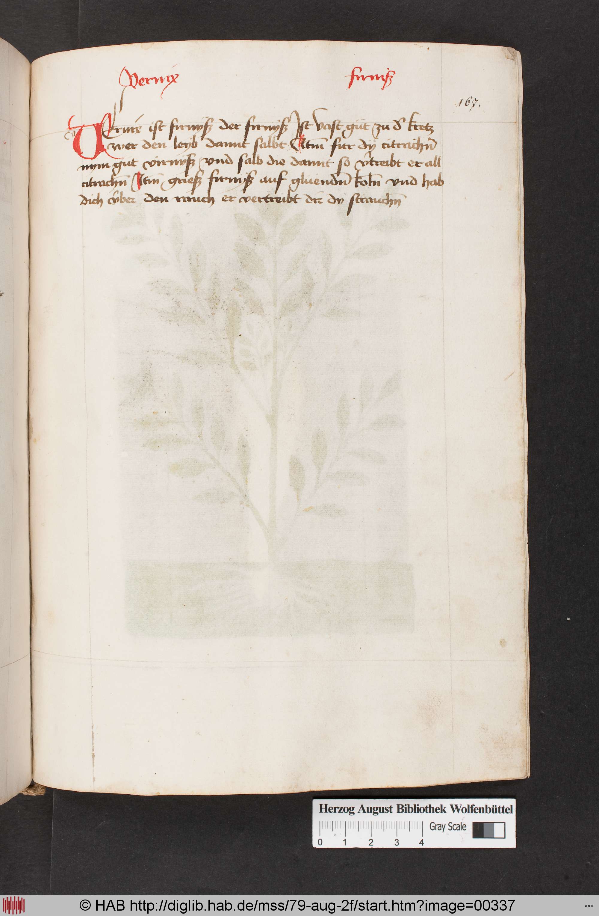 http://diglib.hab.de/mss/79-aug-2f/max/00337.jpg
