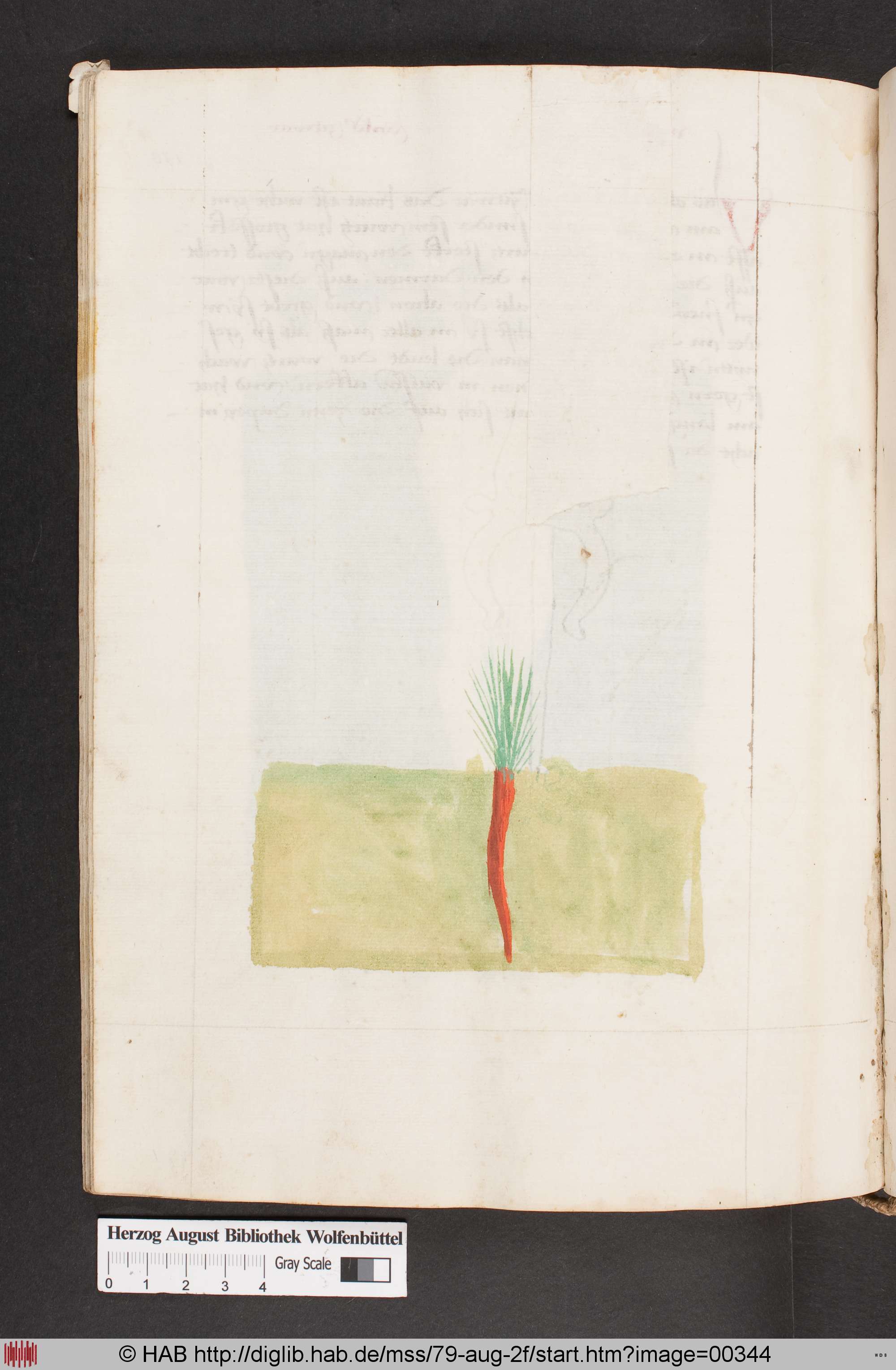 http://diglib.hab.de/mss/79-aug-2f/max/00344.jpg