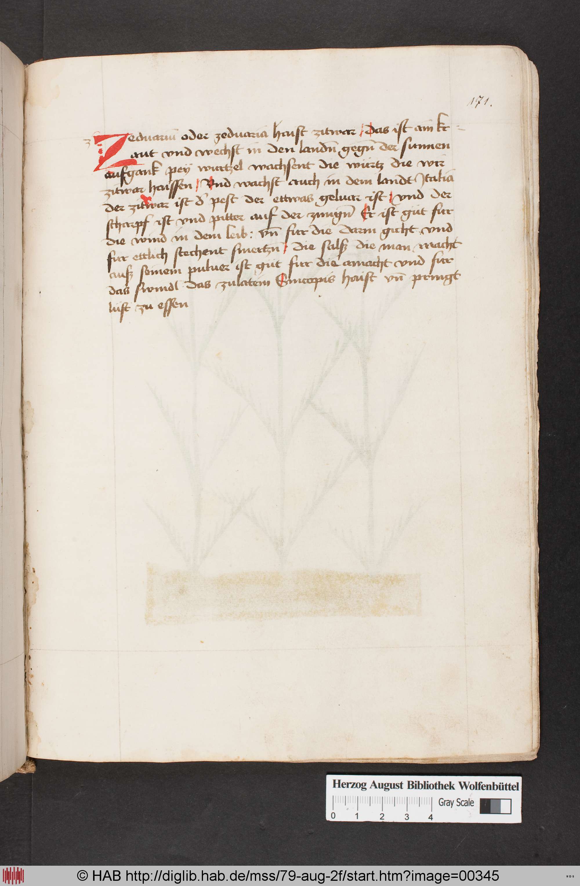 http://diglib.hab.de/mss/79-aug-2f/max/00345.jpg