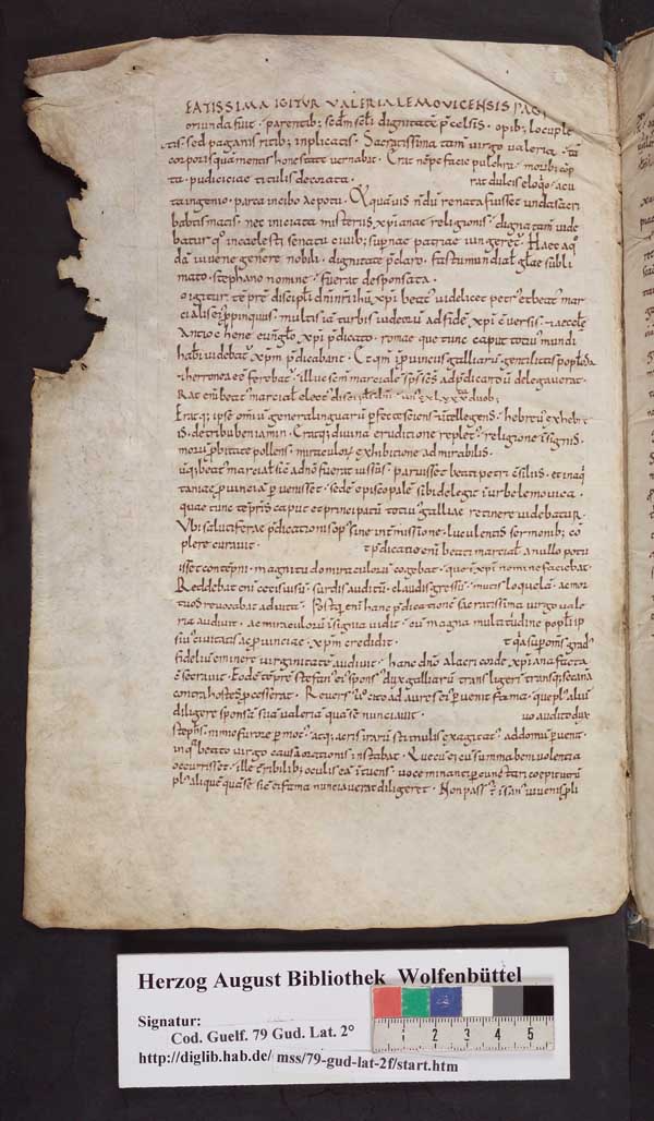 http://diglib.hab.de/mss/79-gud-lat/min/00196.jpg