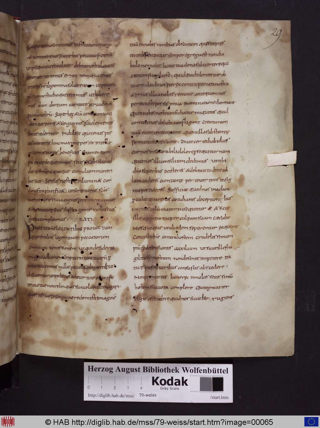 http://diglib.hab.de/mss/79-weiss/00065.jpg