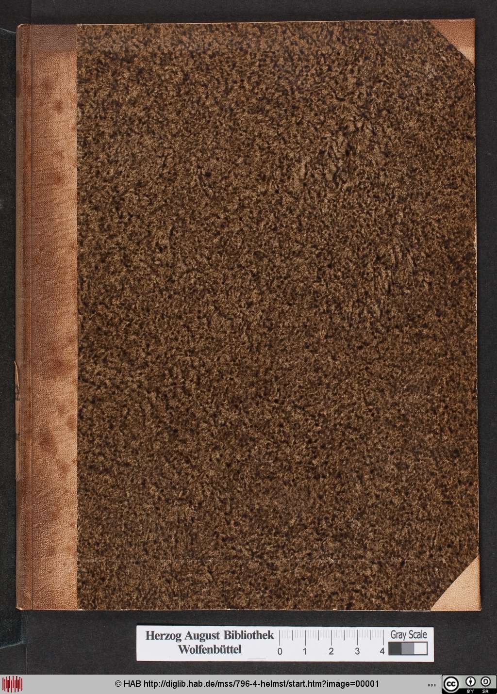 http://diglib.hab.de/mss/796-4-helmst/00001.jpg
