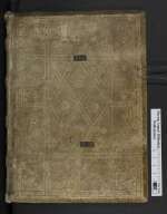 Cod. Guelf. 8.2 Aug. 4° — Expositio super Apocalypsim Johannis — Helmstedt, Augustiner-Chorfrauenstift St. Marienberg, 1341