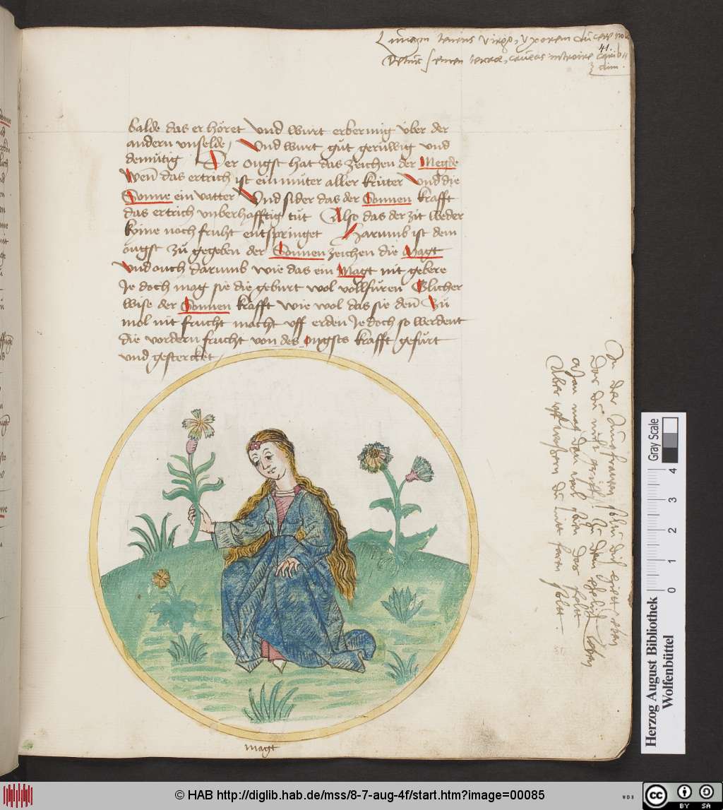 http://diglib.hab.de/mss/8-7-aug-4f/00085.jpg