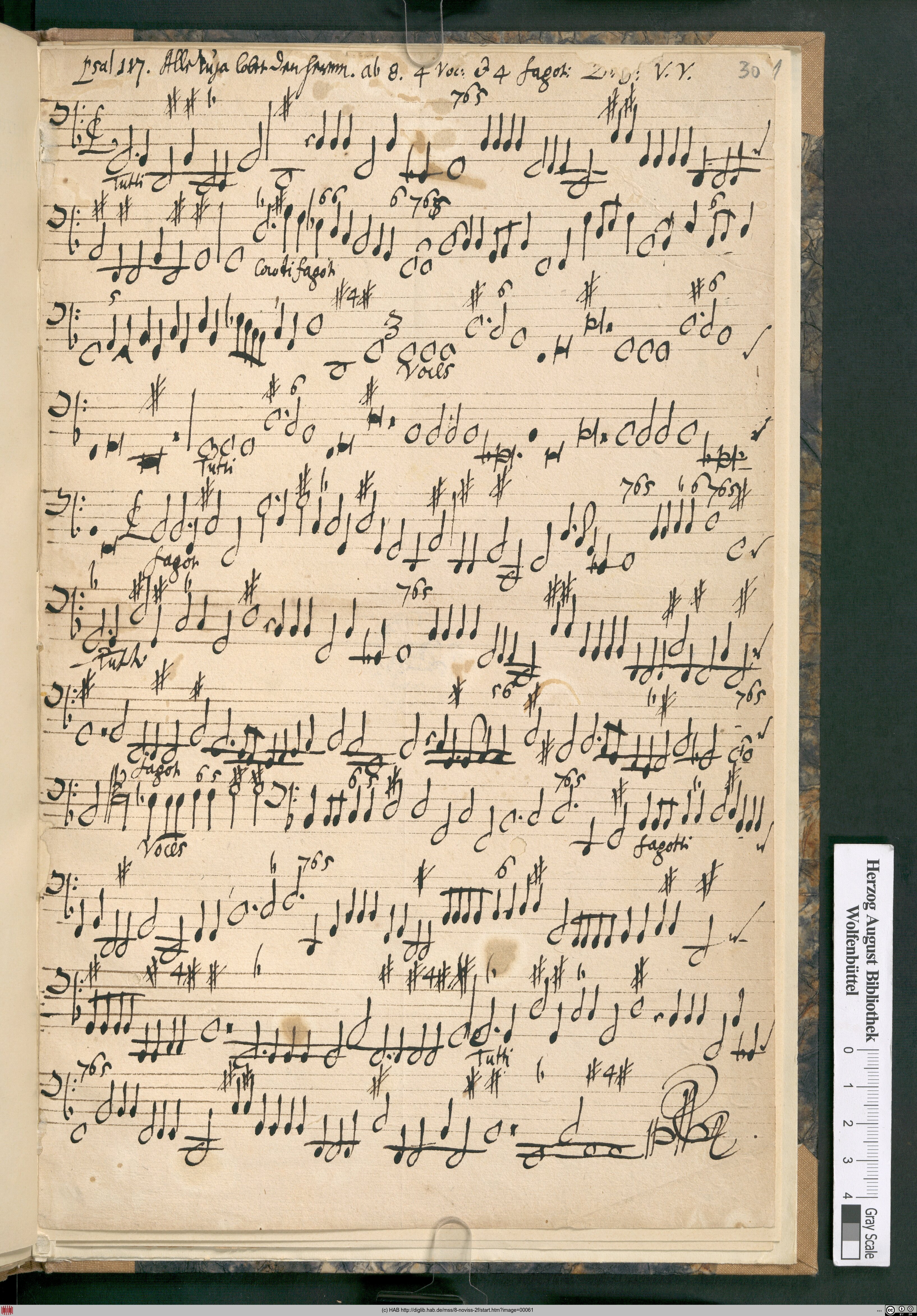 http://diglib.hab.de/mss/8-noviss-2f/max/00061.jpg