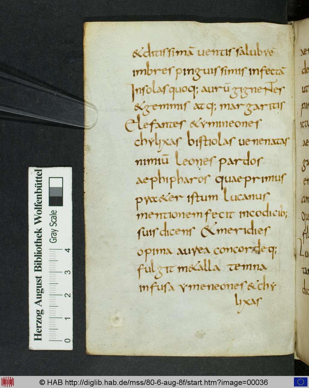 http://diglib.hab.de/mss/80-6-aug-8f/00036.jpg