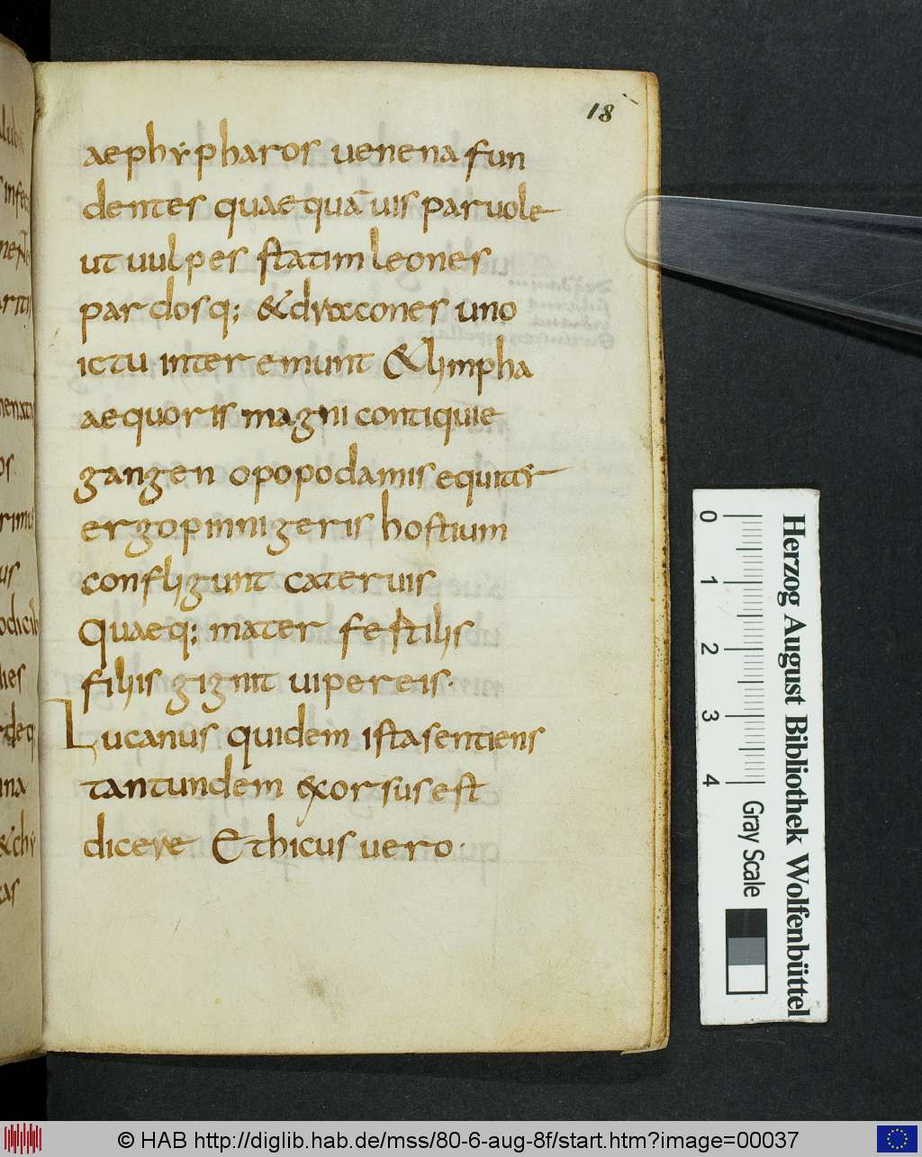 http://diglib.hab.de/mss/80-6-aug-8f/00037.jpg