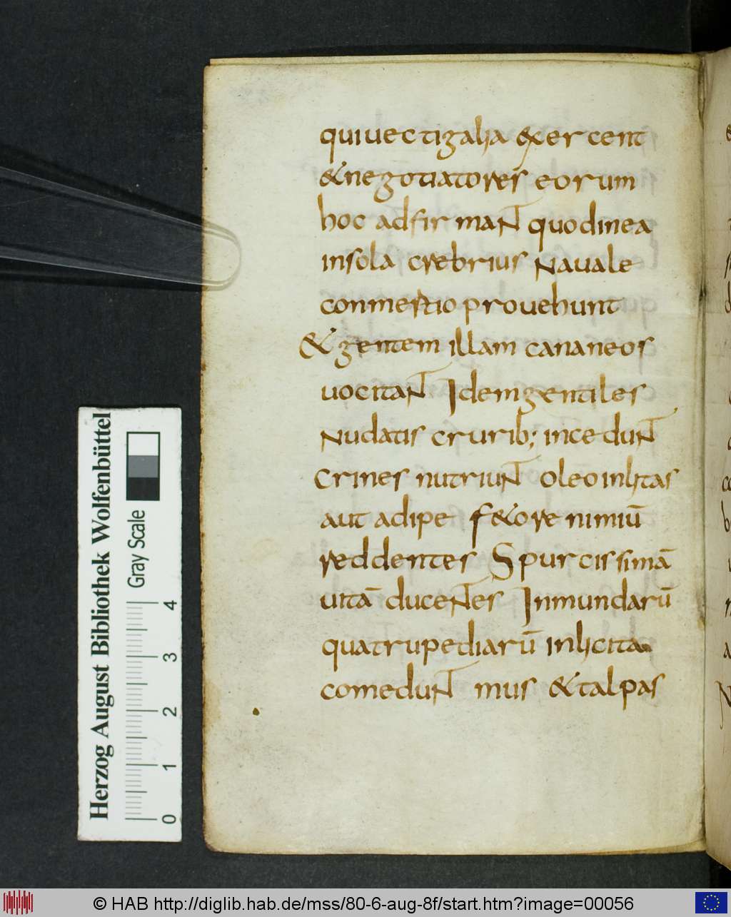 http://diglib.hab.de/mss/80-6-aug-8f/00056.jpg