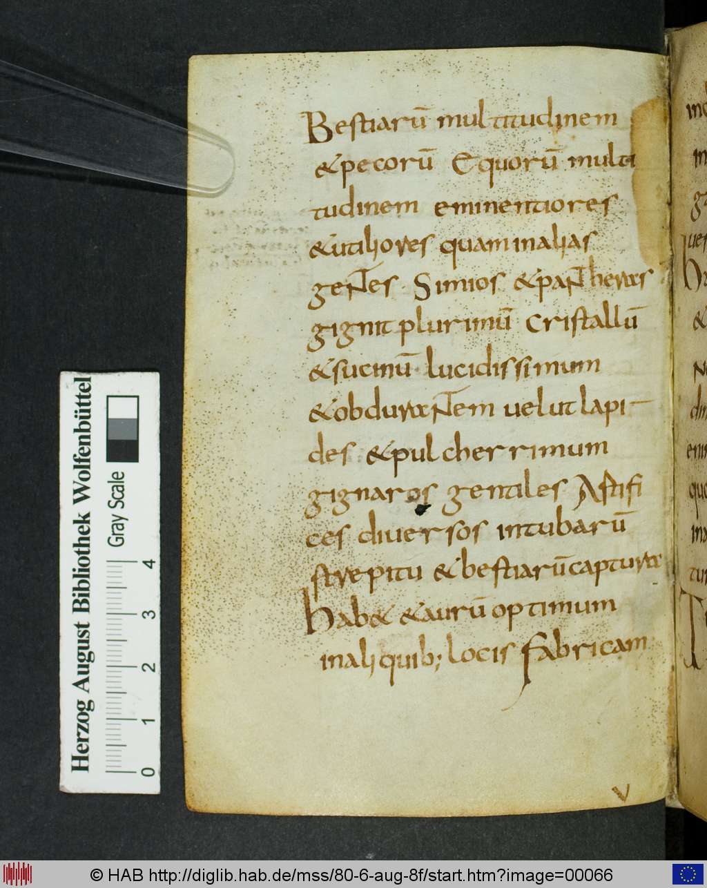 http://diglib.hab.de/mss/80-6-aug-8f/00066.jpg