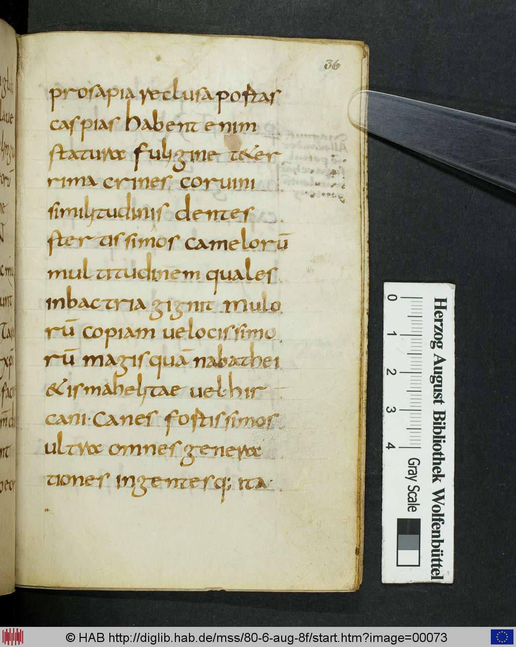 http://diglib.hab.de/mss/80-6-aug-8f/00073.jpg