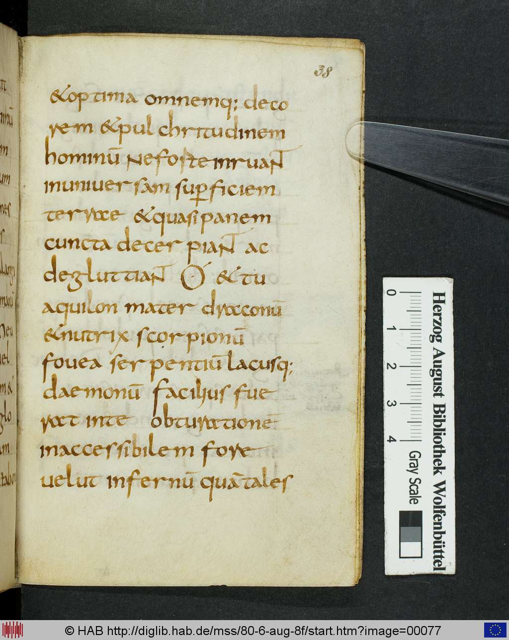 http://diglib.hab.de/mss/80-6-aug-8f/00077.jpg