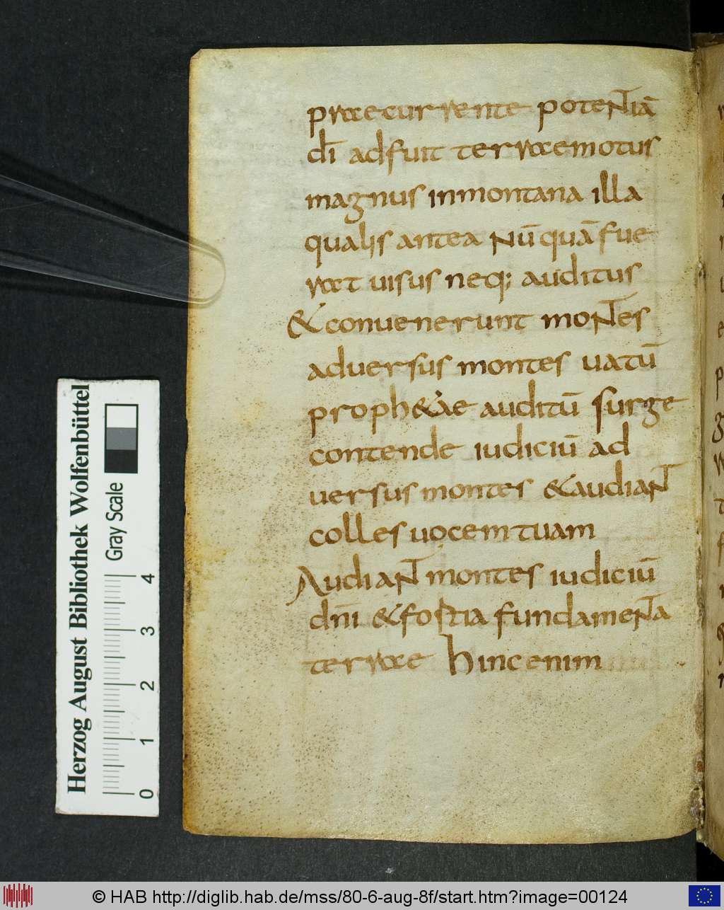 http://diglib.hab.de/mss/80-6-aug-8f/00124.jpg
