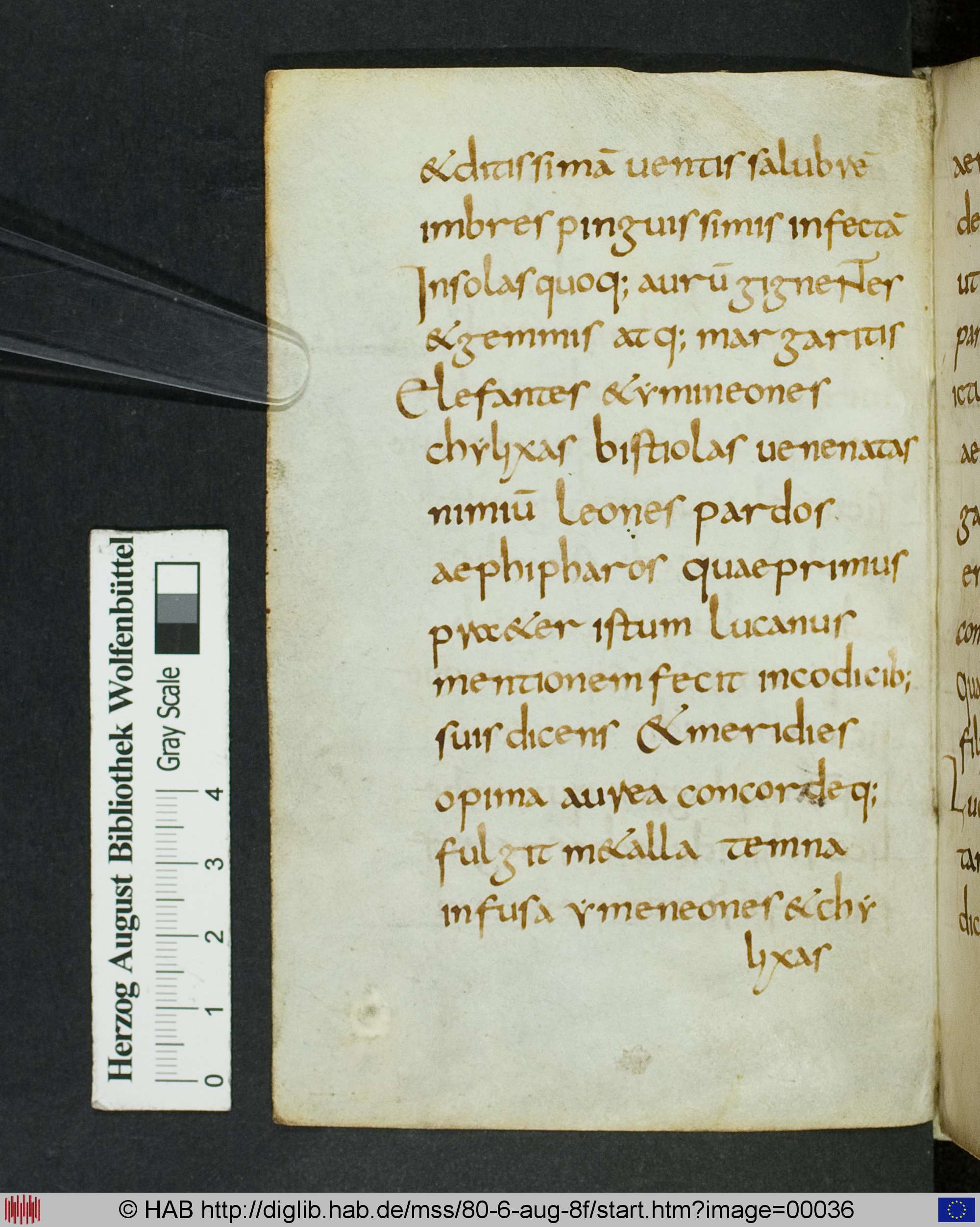 http://diglib.hab.de/mss/80-6-aug-8f/max/00036.jpg