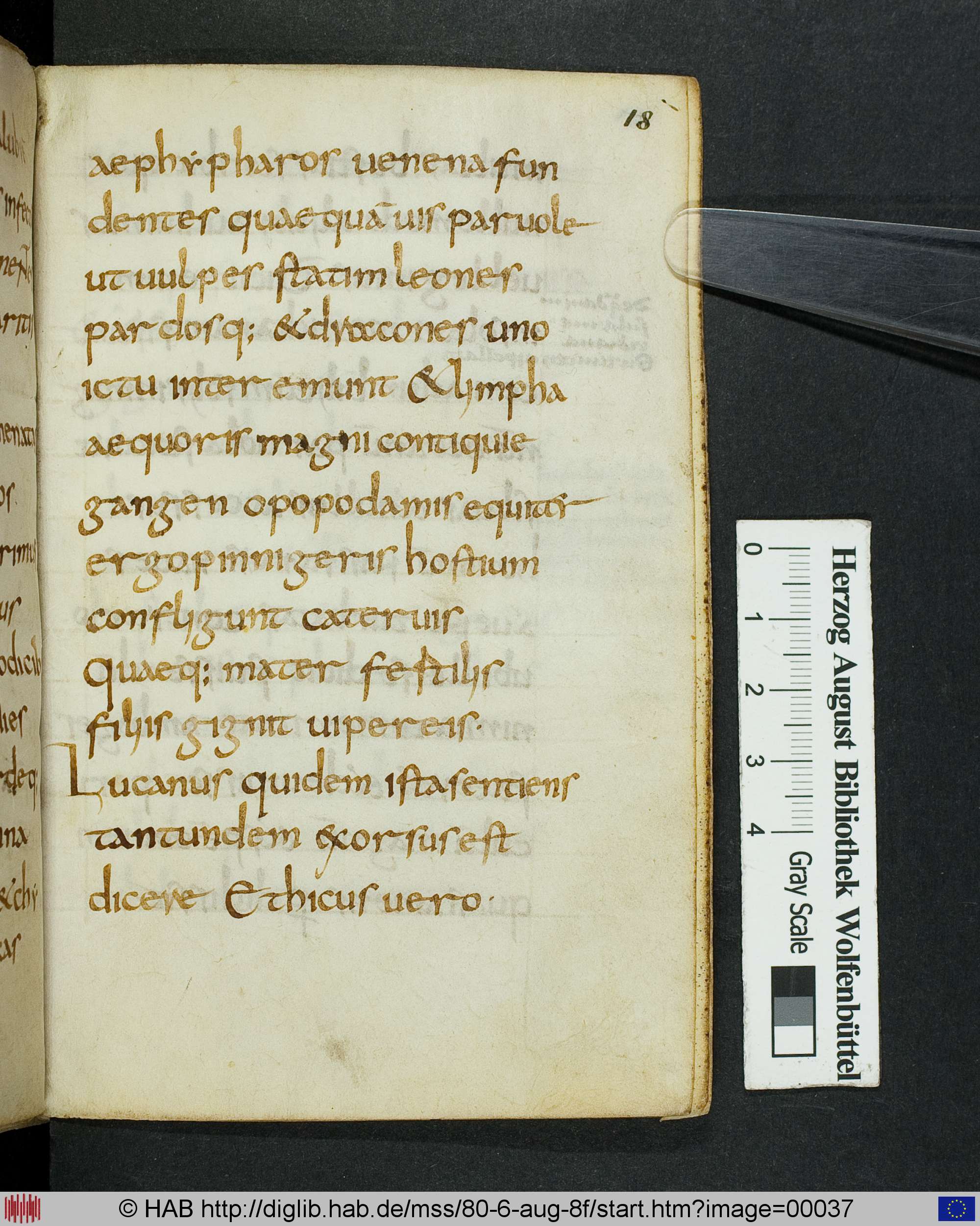 http://diglib.hab.de/mss/80-6-aug-8f/max/00037.jpg