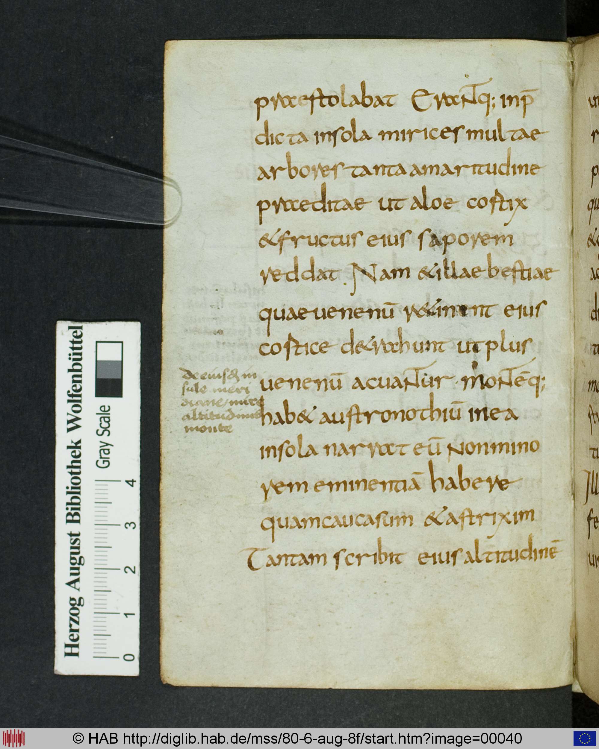 http://diglib.hab.de/mss/80-6-aug-8f/max/00040.jpg