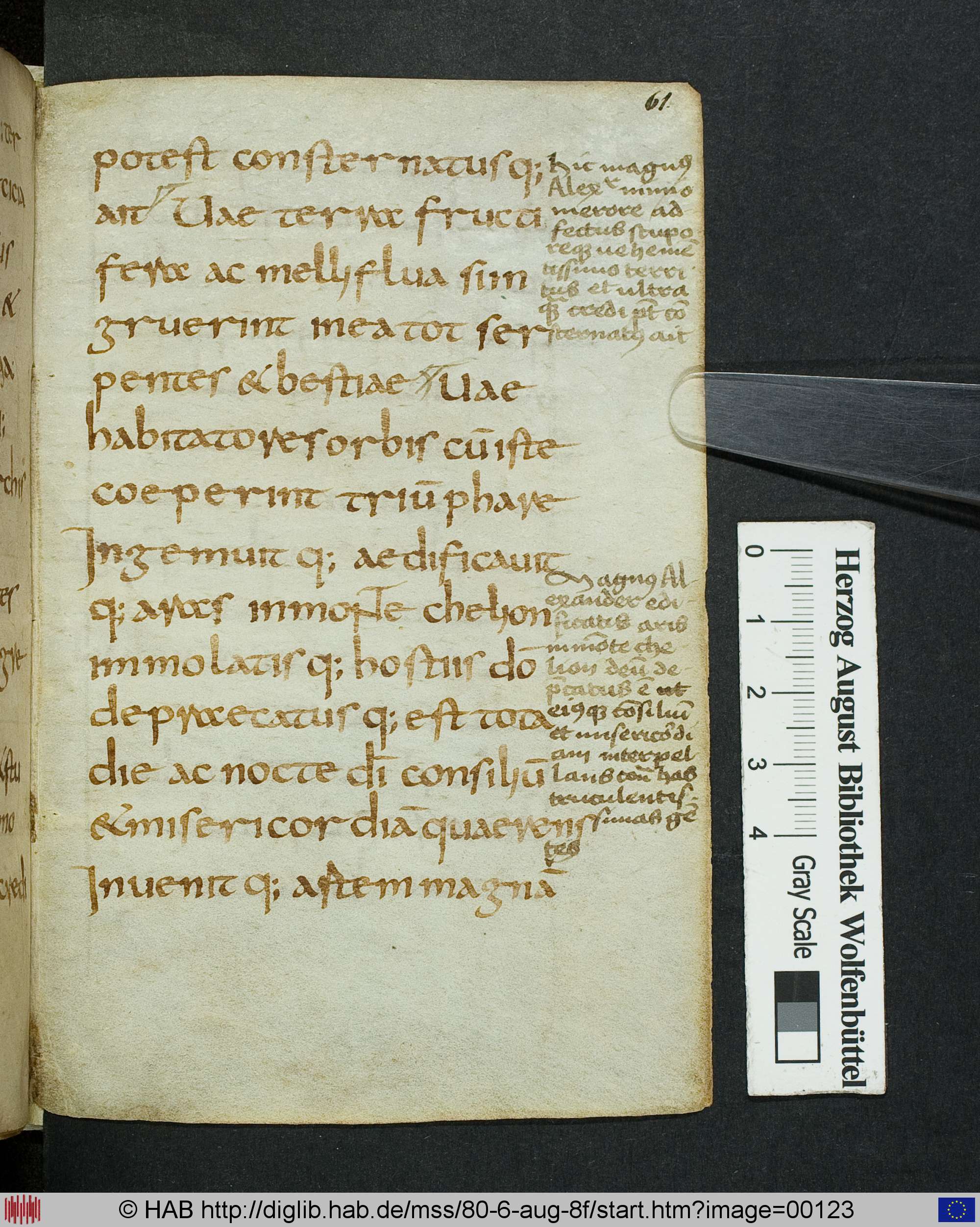http://diglib.hab.de/mss/80-6-aug-8f/max/00123.jpg