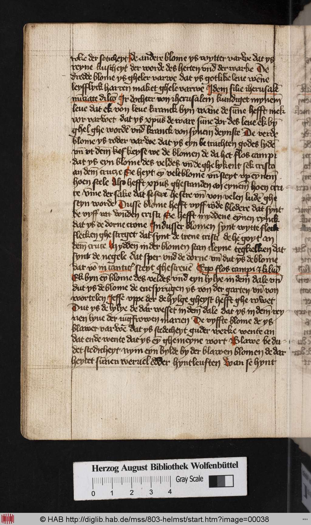 http://diglib.hab.de/mss/803-helmst/00038.jpg