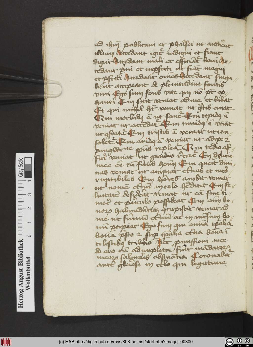 http://diglib.hab.de/mss/808-helmst/00300.jpg