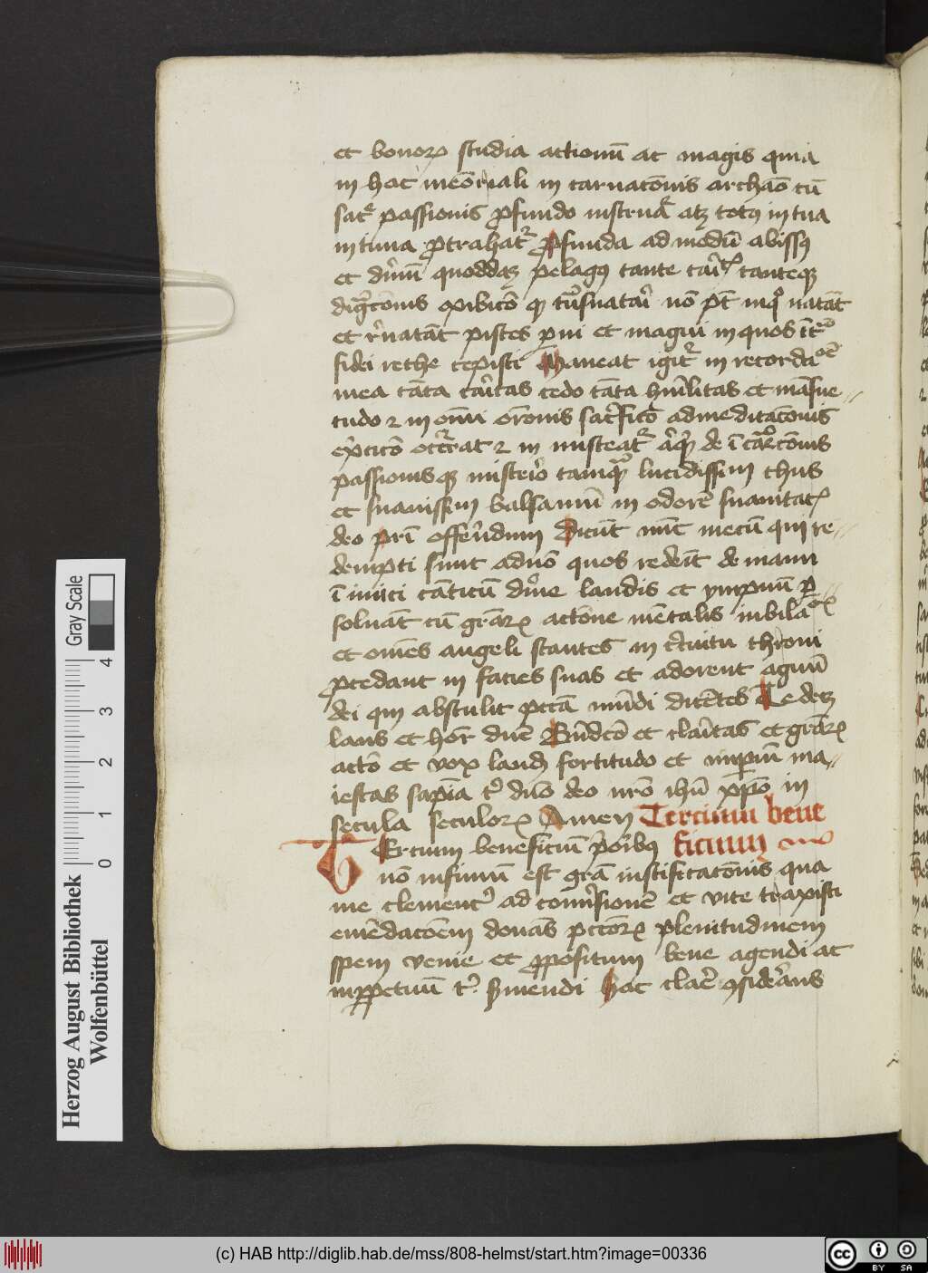 http://diglib.hab.de/mss/808-helmst/00336.jpg