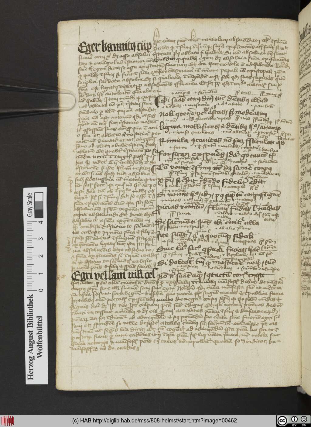 http://diglib.hab.de/mss/808-helmst/00462.jpg