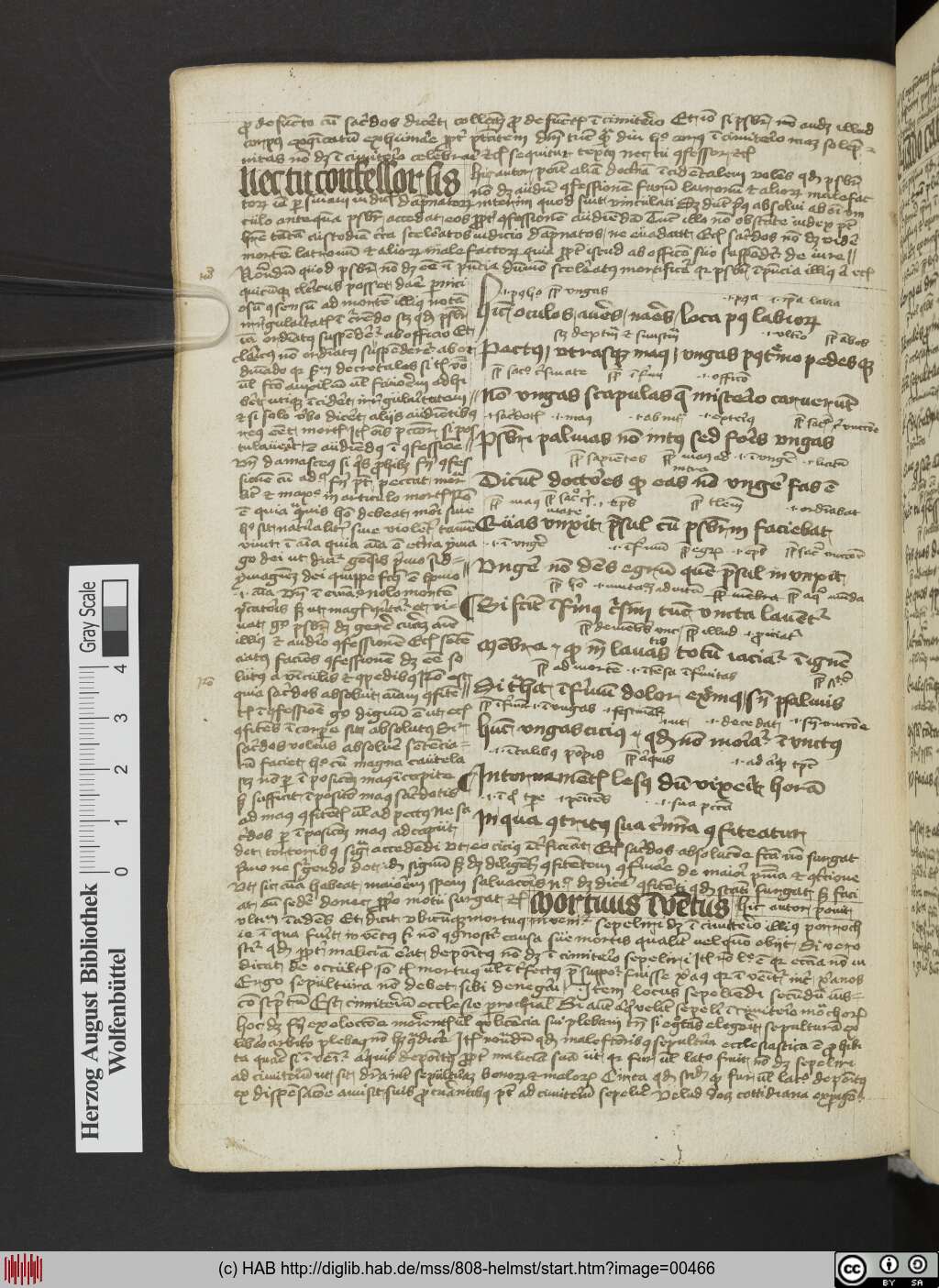 http://diglib.hab.de/mss/808-helmst/00466.jpg