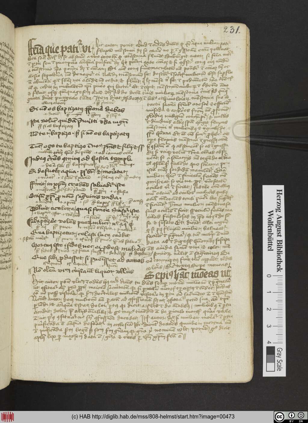 http://diglib.hab.de/mss/808-helmst/00473.jpg