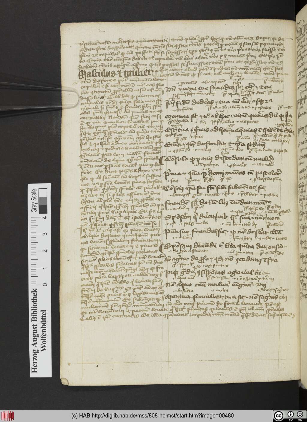 http://diglib.hab.de/mss/808-helmst/00480.jpg