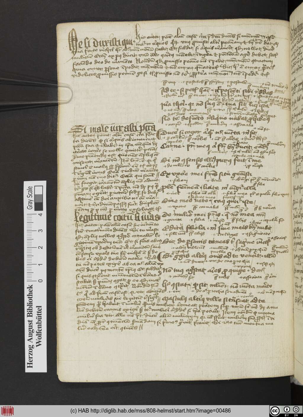 http://diglib.hab.de/mss/808-helmst/00486.jpg