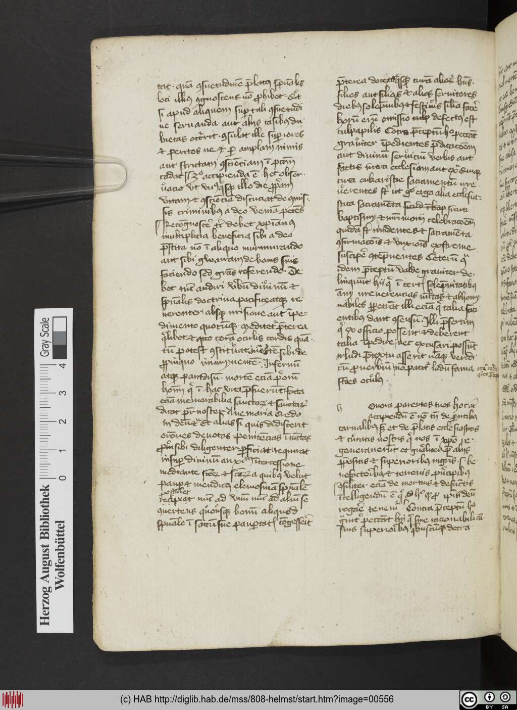 http://diglib.hab.de/mss/808-helmst/00556.jpg