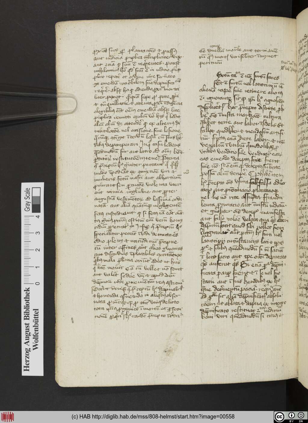 http://diglib.hab.de/mss/808-helmst/00558.jpg