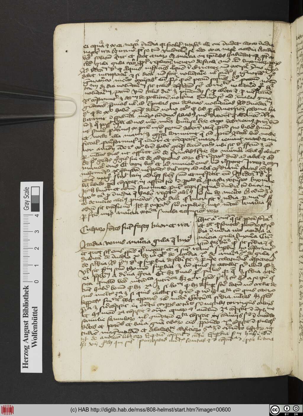 http://diglib.hab.de/mss/808-helmst/00600.jpg