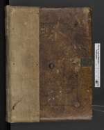 Cod. Guelf. 81.14 Aug. 2° — Braunschweigische Reimchronik. — 1464